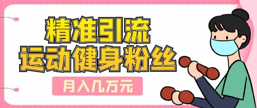 精准引流运动健身粉丝，轻松月入几万-梦凌网创