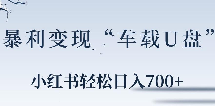 小红书“车载U盘”暴利引流，日入700+-梦凌网创