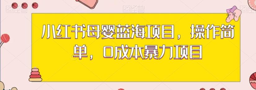 小红书母婴蓝海项目，操作简单，0成本暴力项目-梦凌网创