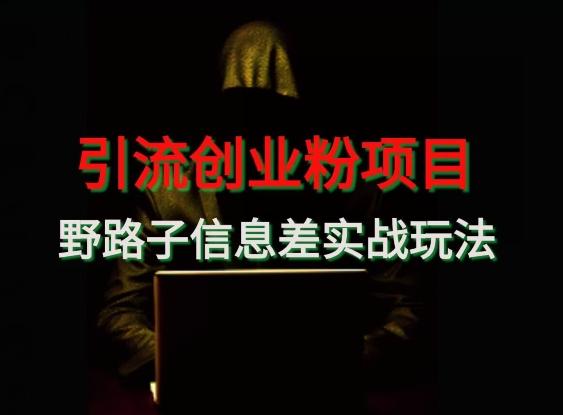 【引流创业粉】野路子信息差玩法实战教学-梦凌网创
