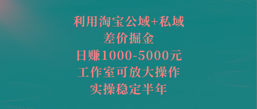 利用淘宝公域+私域差价掘金，日赚1000-5000元，工作室可放大操作，实操…-梦凌网创