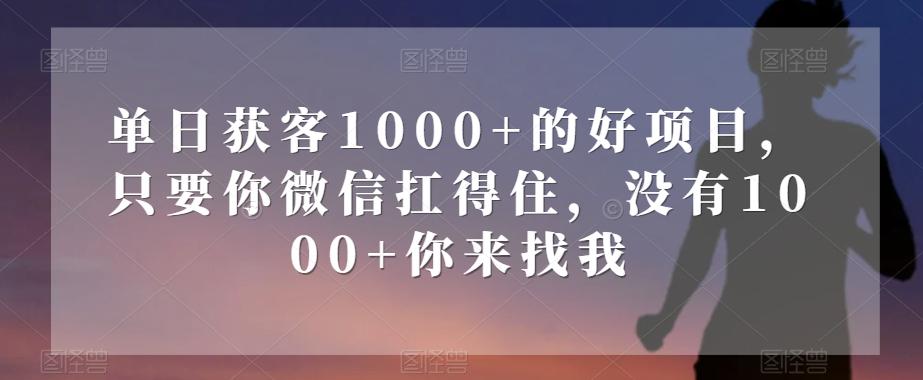 单日获客1000+的好项目，只要你微信扛得住，没有1000+你来找我【揭秘】-梦凌网创