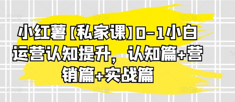 小红薯【私家课】0-1小白运营认知提升，认知篇+营销篇+实战篇-梦凌网创
