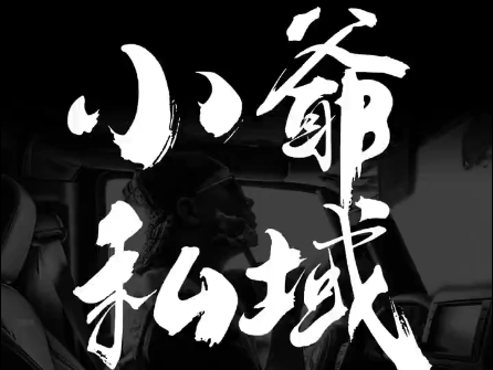 小爷·私域项目操盘手-梦凌网创
