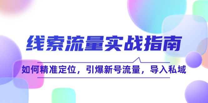 线 索 流 量-实战指南：如何精准定位，引爆新号流量，导入私域-梦凌网创