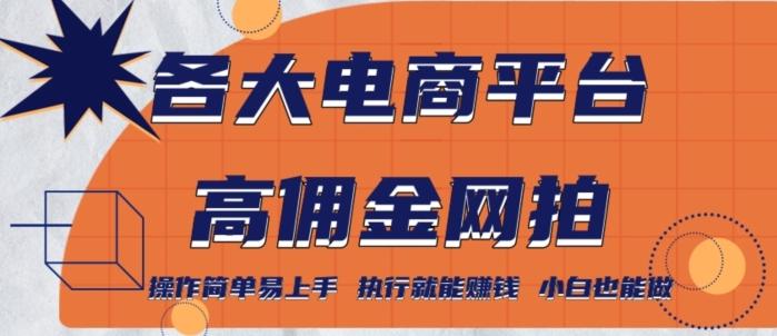 各大电商平台高佣金网拍，操作简单易上手，执行就能赚钱，小白也能做-梦凌网创