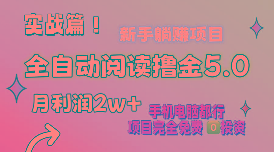 小说全自动阅读撸金5.0 操作简单 可批量操作 零门槛！小白无脑上手月入2w+-梦凌网创