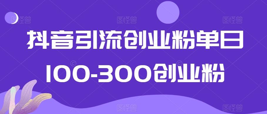 抖音引流创业粉单日100-300创业粉【揭秘】-梦凌网创