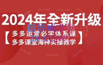 海神老师·拼多多运营必学体系课-梦凌网创