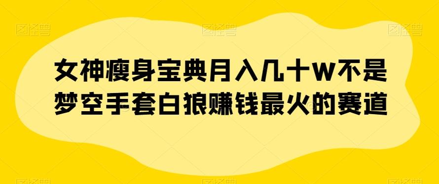 女神瘦身宝典月入几十W不是梦空手套白狼赚钱最火的赛道【揭秘】-梦凌网创