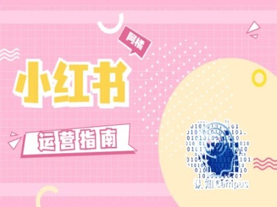 小红书运营指南，没有套路，全是经验-梦凌网创