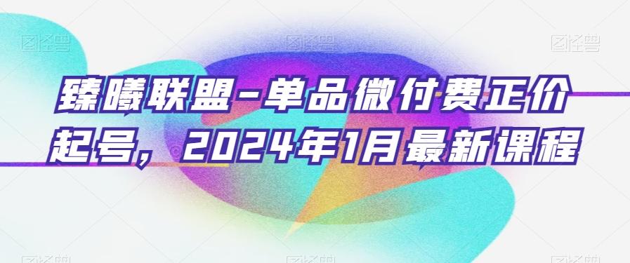 臻曦联盟-单品微付费正价起号，2024年1月最新课程-梦凌网创