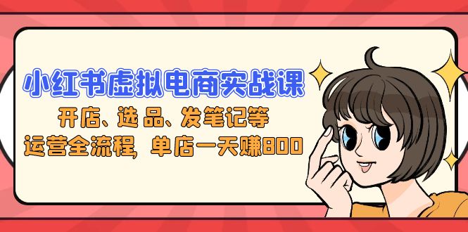 小红书虚拟电商实战课：开店、选品、发笔记等运营全流程，单店一天赚800-梦凌网创