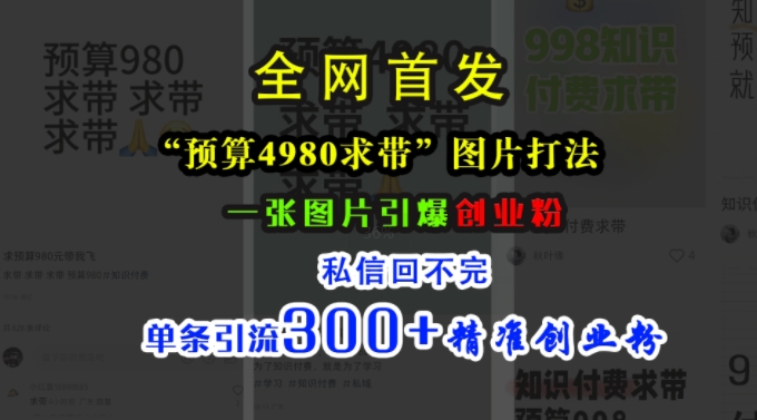 小红书“预算4980带我飞”图片打法，一张图片引爆创业粉，私信回不完，单条引流300+精准创业粉-梦凌网创