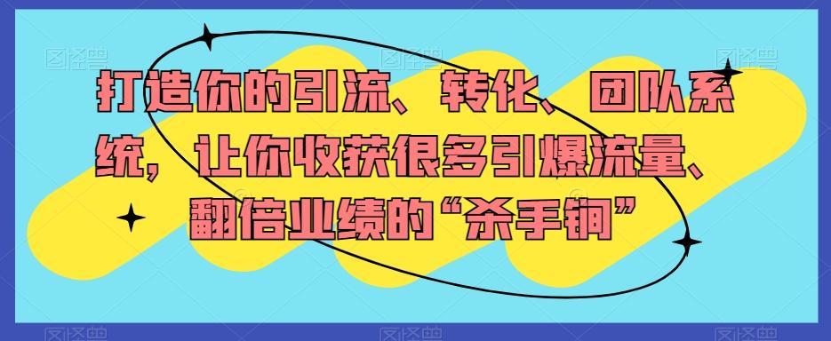 打造你的引流、转化、团队系统，让你收获很多引爆流量、翻倍业绩的“杀手锏”-梦凌网创