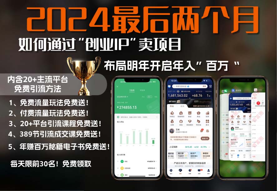 2024最后两个月如何通过”创业IP“卖项目年入”百万“,创业IP+最强引流…-梦凌网创