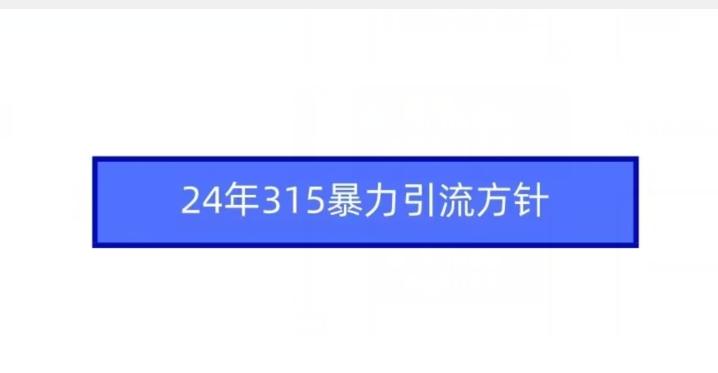 24年315暴力引流方针-梦凌网创