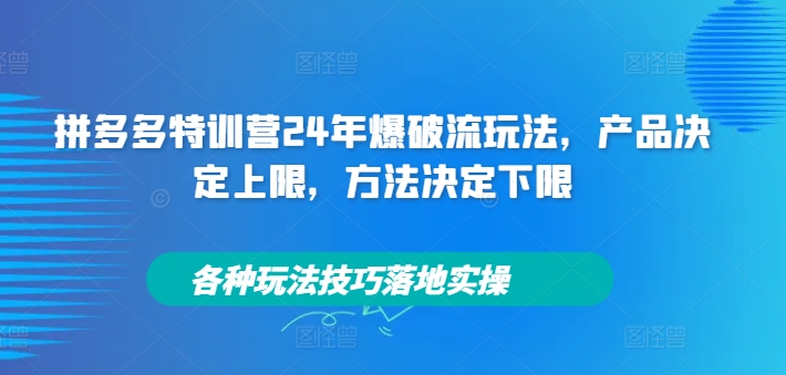 拼多多特训营24年爆破流玩法，产品决定上限，方法决定下限，各种玩法技巧落地实操-梦凌网创