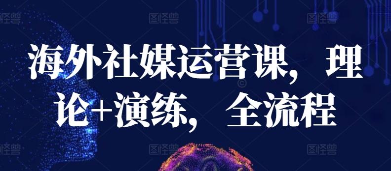 海外社媒运营课，理论+演练，全流程-梦凌网创