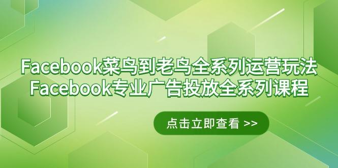 Facebook-菜鸟到老鸟全系列运营玩法+Facebook-专业广告投放全系列课程-梦凌网创