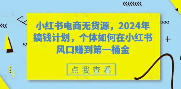 小红书电商无货源，2024年搞钱计划，个体如何在小红书风口赚到第一桶金-梦凌网创