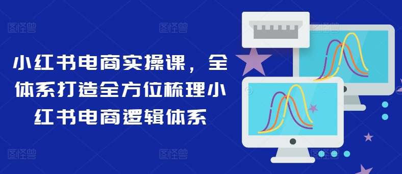 小红书电商实操课，全体系打造全方位梳理小红书电商逻辑体系-梦凌网创