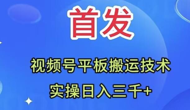 全网首发：视频号平板搬运技术，实操日入三千＋-梦凌网创