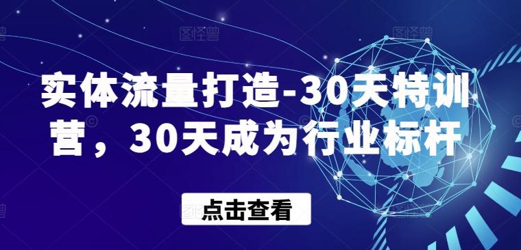 实体流量打造-30天特训营，30天成为行业标杆-梦凌网创
