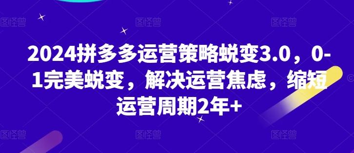 2024拼多多运营策略蜕变3.0，0-1完美蜕变，解决运营焦虑，缩短运营周期2年+-梦凌网创
