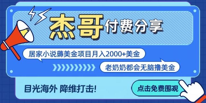 拆解海外撸美金项目月入2000美刀详细指导-薪火元第一资源库