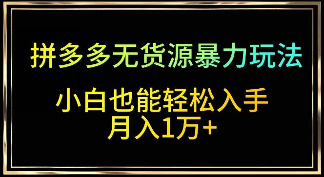 拼多多无货源暴力玩法，全程干货，小白也能轻松入手，月入1万+【揭秘】-梦凌网创