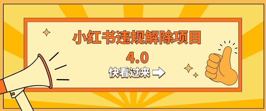 小红书违规掘金蓝海项目，日入800+（附带引流办法及解除办法）-梦凌网创