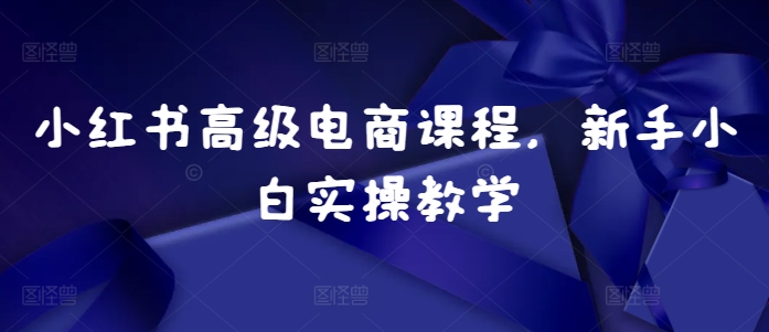 小红书高级电商课程，新手小白实操教学-梦凌网创
