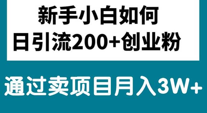 新手小白日引流200+创业粉,通过卖项目月入3W+-梦凌网创