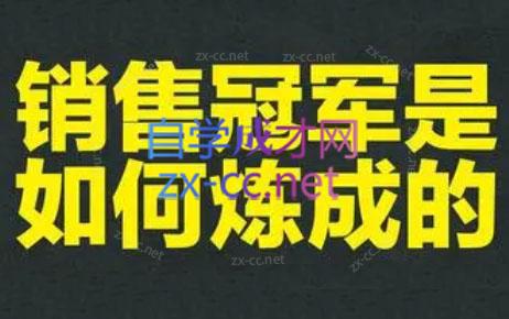 林林老师·成为外贸销售冠军课-梦凌网创