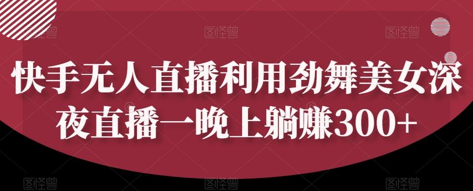 快手无人直播利用劲舞美女深夜直播一晚上躺赚300+-梦凌网创