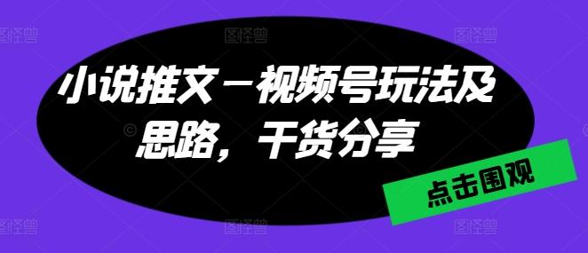 小说推文—视频号玩法及思路，干货分享-梦凌网创