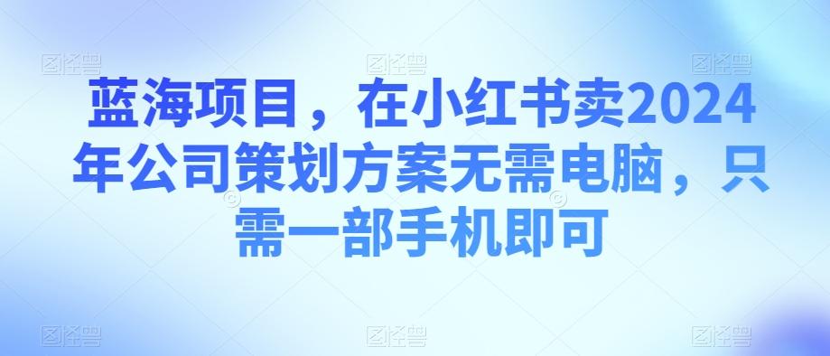蓝海项目，在小红书卖2024年公司策划方案无需电脑，只需一部手机即可-梦凌网创