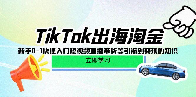 (10035期)TikTok-出海淘金，新手0-1快速入门短视频直播带货等引流到变现的知识-梦凌网创