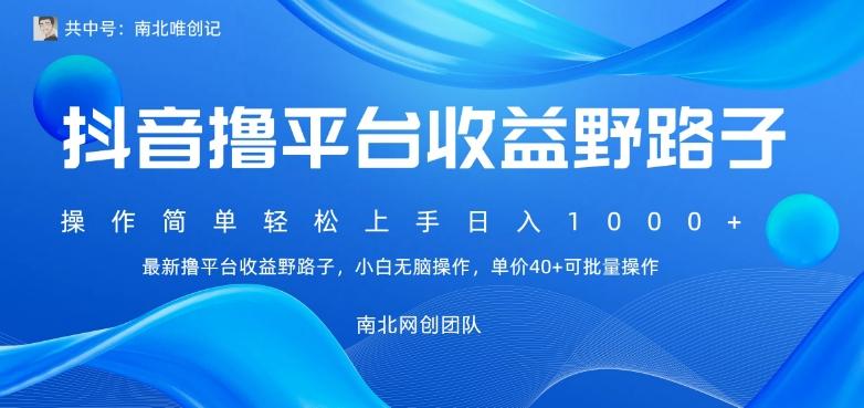 最新撸抖音平台收益野路子，操作简单，单价高，小白可无脑操作可日入1000+-梦凌网创