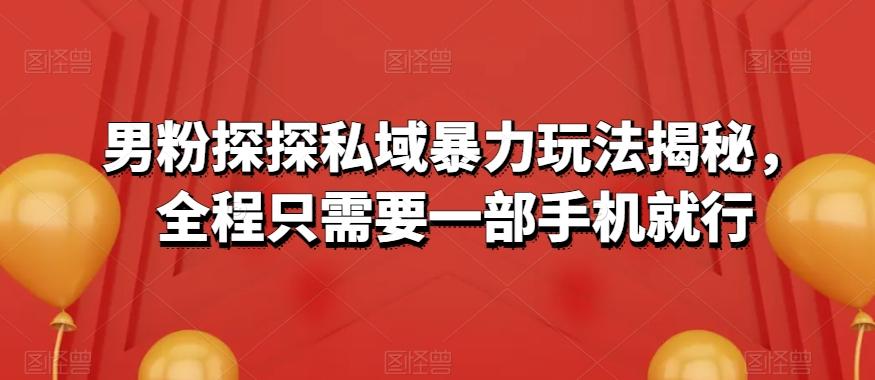男粉探探私域暴力玩法揭秘，全程只需要一部手机就行-梦凌网创