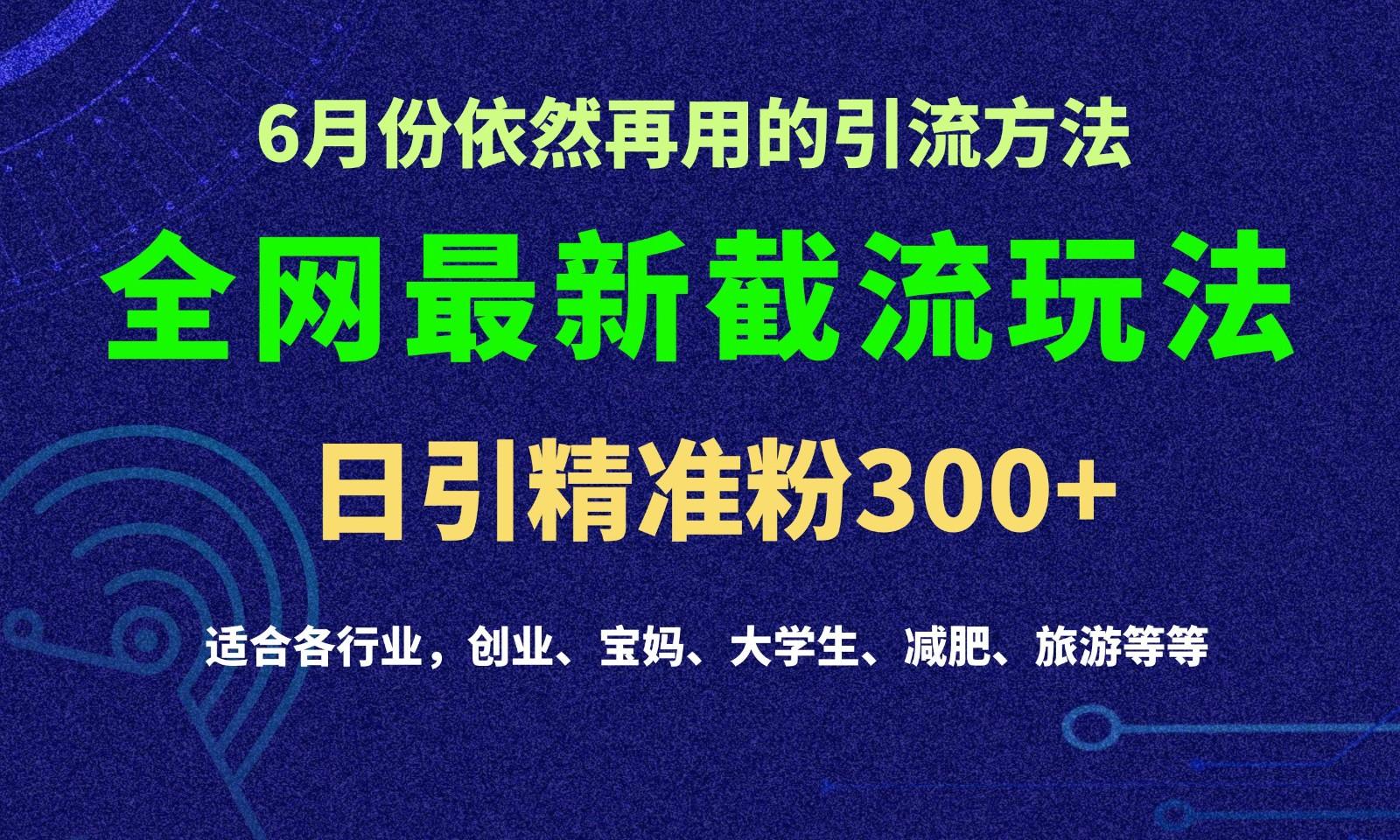 2024全网最新截留玩法，每日引流突破300+-梦凌网创