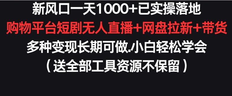 新风口一天1000+已实操落地购物平台短剧无人直播+网盘拉新+带货多种变现长期可做【揭秘】-梦凌网创