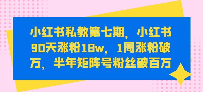 小红书私教第七期，小红书90天涨粉18w，1周涨粉破万，半年矩阵号粉丝破百万-梦凌网创