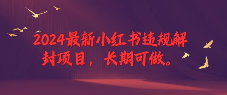 2024最新小红书违规解封项目，长期可做，一个可以做到退休的项目【揭秘】-梦凌网创