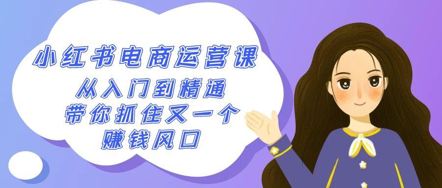 2024小红书-电商运营课，从入门到精通，带你抓住又一个赚钱风口(50节课)-梦凌网创