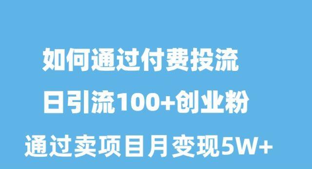 如何通过付费投流日引流100+创业粉月变现5W+-梦凌网创