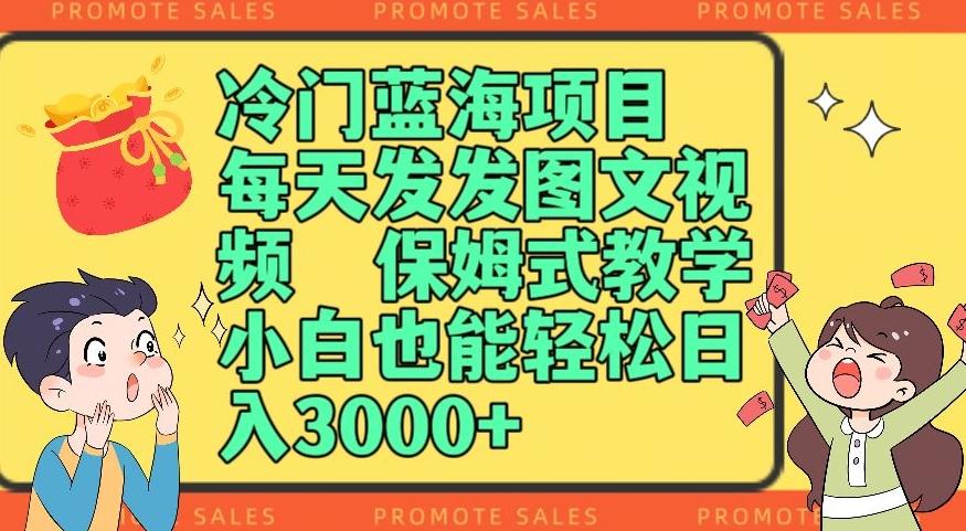 冷门蓝海项目，每天发发图文视频，保姆式教学，小白也能轻松日入3000+-梦凌网创