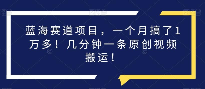 蓝海赛道项目，一个月搞了1万多！几分钟一条原创视频搬运！-梦凌网创