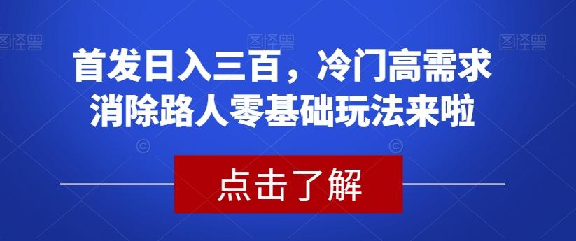 首发日入三百，冷门高需求消除路人零基础玩法来啦【揭秘】-梦凌网创